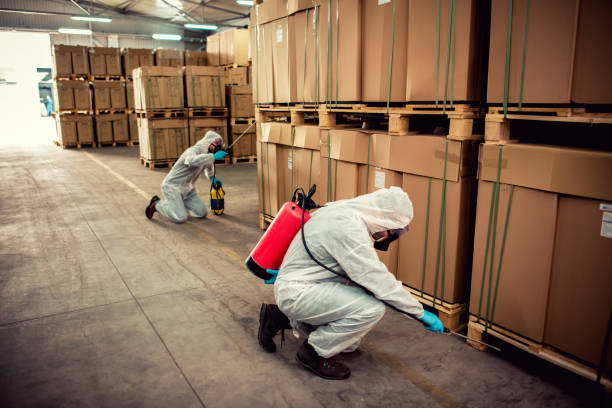Best Exterminator Services  in Mogul, NV