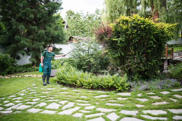 Best Pest Prevention Services  in Mogul, NV
